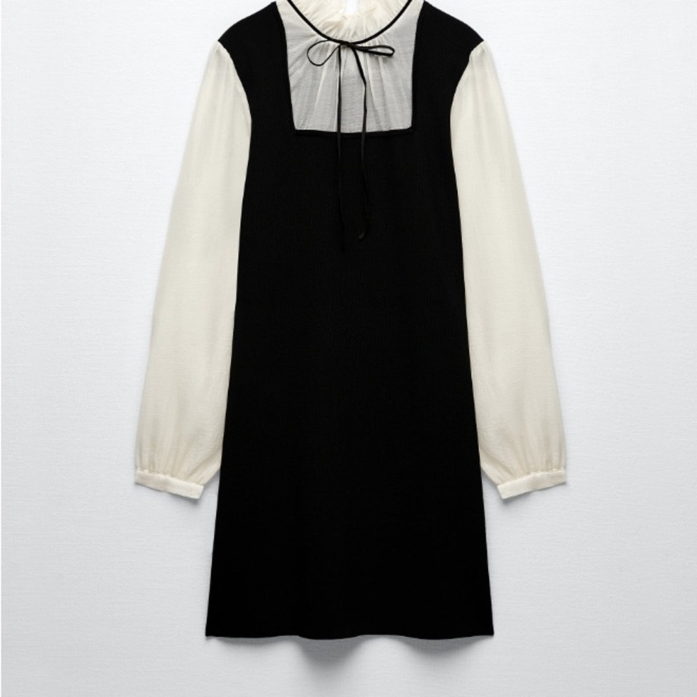 Zara Black and White Mini Dress